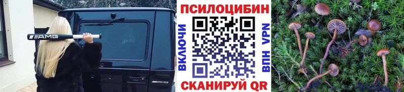 наркота  Невинномысск  мориарти какой сайт  Псилоцибиновые грибы Cubensis 
