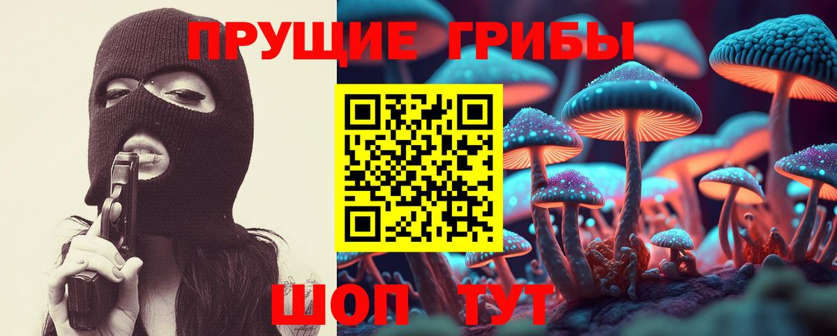 Невинномысск  Галлюциногенные грибы Cubensis  Вход с VPN 